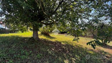 TER. RESIDENZIALE A MONTE SAN GIOVANNI CAMPANO