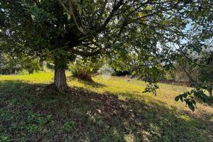 TER. RESIDENZIALE A MONTE SAN GIOVANNI CAMPANO