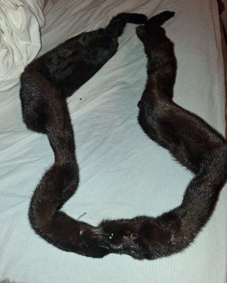 Collo di visone
