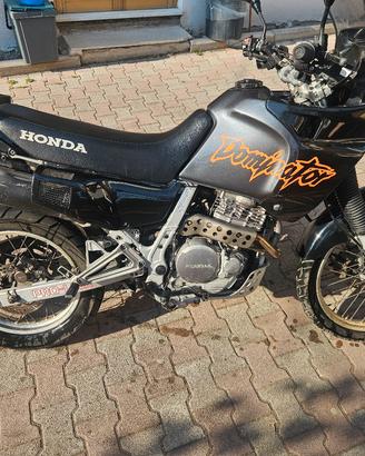NX DOMINATOR 659