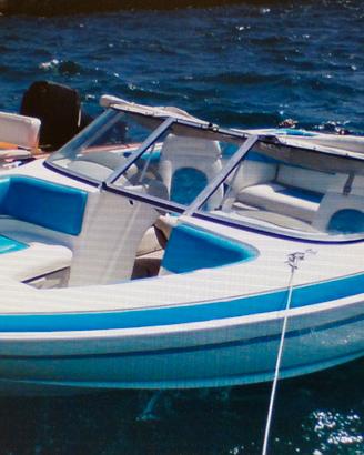 GLASTRON SSV17