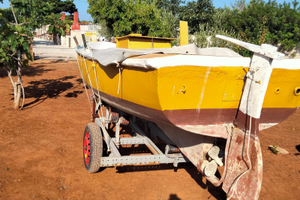 Barca entrobordo motore ruggerini diesel