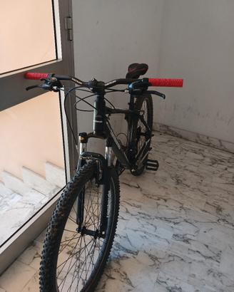 mtb uomo