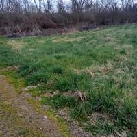 Terreno agricolo buona posizione per attività