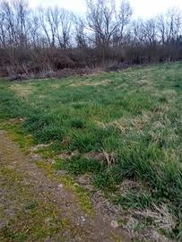 Terreno agricolo buona posizione per attività