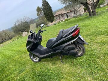 Yamaha Majesty 250 - 2003