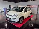 fiat-panda-1-0-firefly-s-s-hybrid