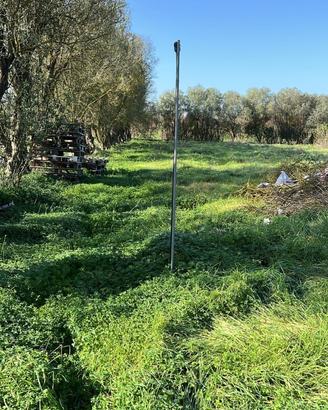 Terreno agricolo 10.000 metri con pozzo e ulivi