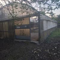 Serra per giardino