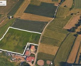 Terreni agricoli