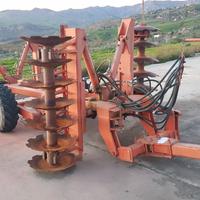 Francizolle trainato 28 dischi raciti