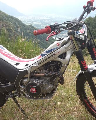 trial montesa