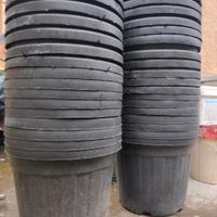 40 vasi di plastica 40*37*33