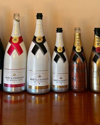Collezione 14 bottiglie vuote Moet Chandon