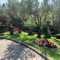 Manutenzione Verde e Realizzazione Giardini