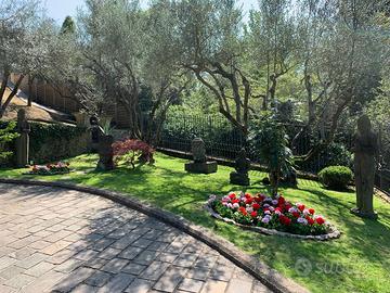Manutenzione Verde e Realizzazione Giardini