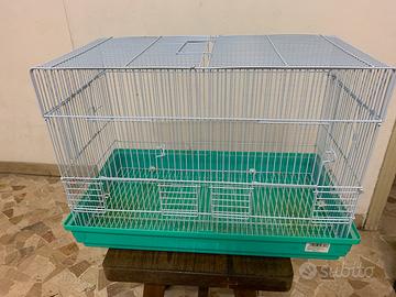 Gabbia pappagalli