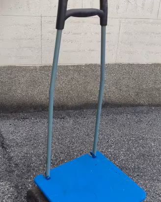 Carrello carrellino porta oggetti con sponda