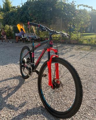 Bici Torpado Chiron 27.5