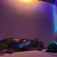Skateboard Tony Hawk