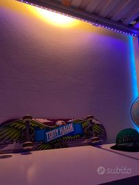 Skateboard Tony Hawk