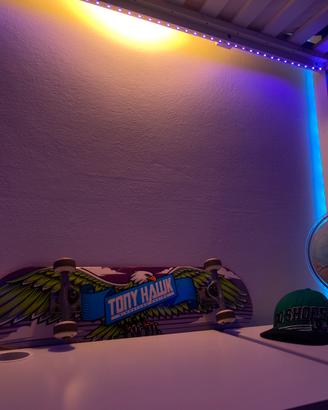 Skateboard Tony Hawk