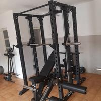 leg extension leg curl lacertosus palestra 