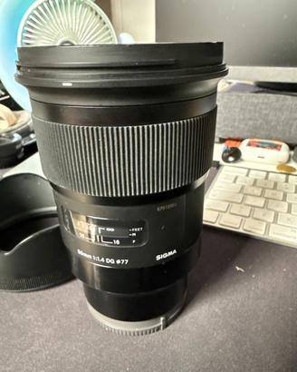 Sigma 50mm 1.4 art e 105 mm 2.8 art macro sony fe