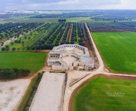 Azienda agricola terreni masseria fabbricato