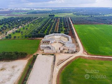 Azienda agricola terreni masseria fabbricato