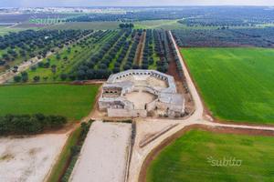 Azienda agricola terreni masseria fabbricato