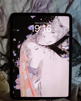 Apple ipad pro "11" 256GB WI-FI cavo e cover