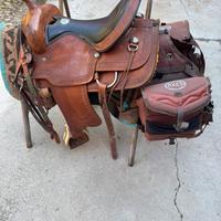 Venso sella billy cook