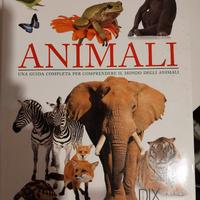 Libro animali