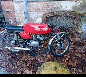 Malanca competizione prima serie