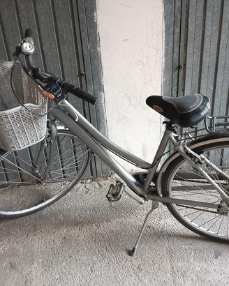 bici passeggio alluminio donna
