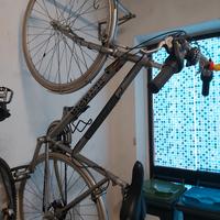 bicicletta donna olympia alluminio