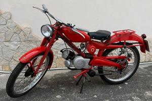 Moto guzzi cardellino 65 1954