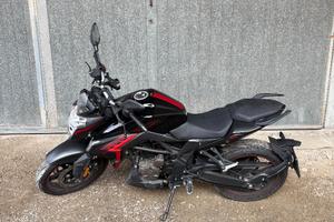 Voge Brivido 300 - 2024