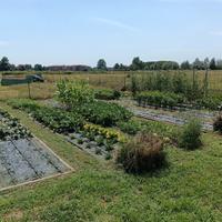 Orto / Giardino privato a Caponago