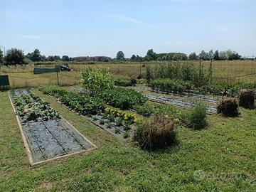 Orto / Giardino privato a Caponago
