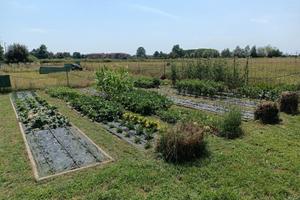 Orto / Giardino privato a Caponago