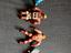Immagine 4
