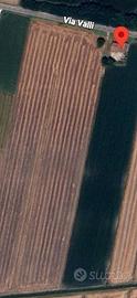 Vendita terreno e annessi rustici