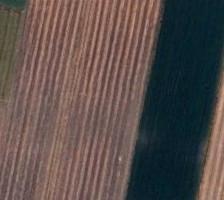 Vendita terreno e annessi rustici