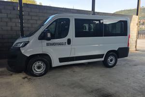 Ducato 9 posti