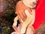 Immagine 3