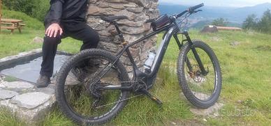 Bici elettrica