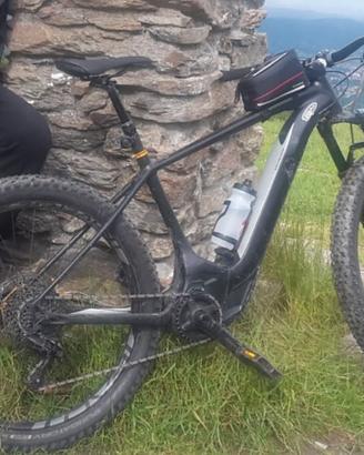 Bici elettrica
