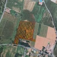 Terreno agricolo ideale per vigneto